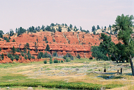 [The rock ridge has a top section of rock that is tan with the rest having a reddish tint. There is an open field in front of the rock and trees growing on the rocks. ]